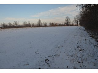 Property photo 10 - FARMLAND AUCTION, 60+/- Acres in 6 Tracts ranging from 4 to 20 acres & in combinations!